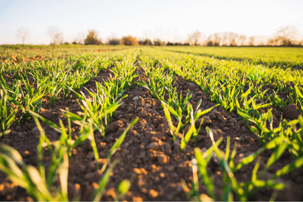 Agri Finance